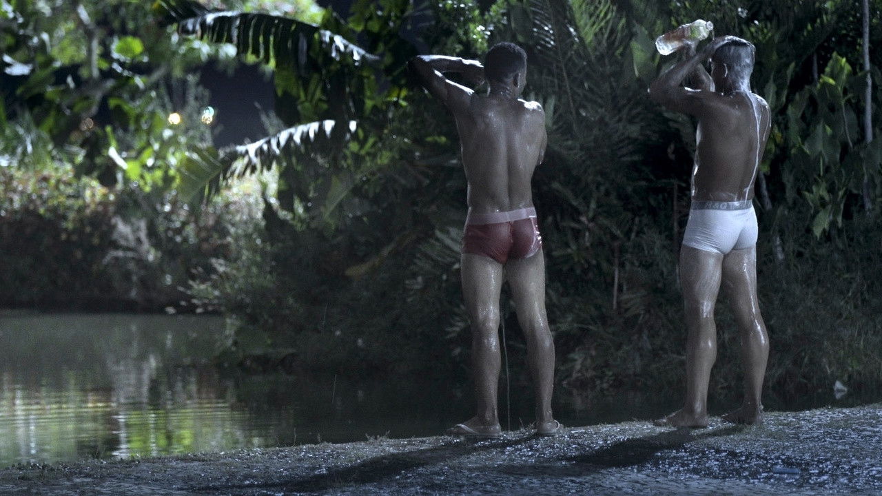 Fireflies Background