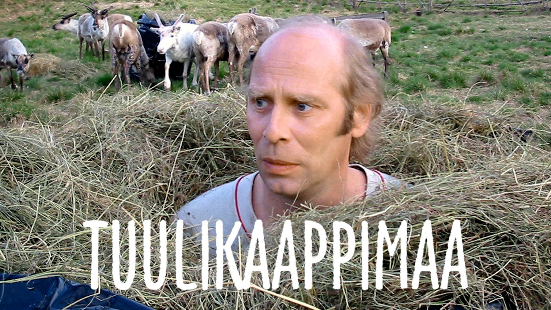 Tuulikaappimaa Background