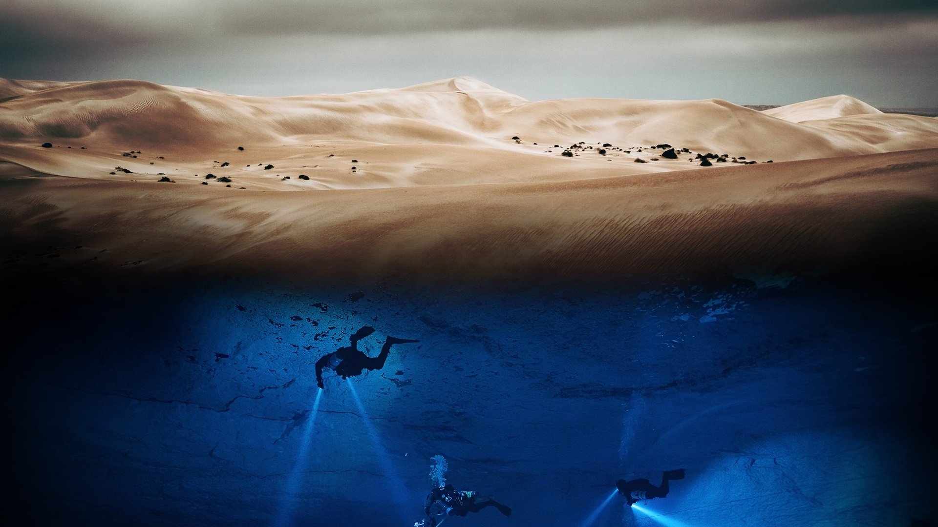 Australia's Wild Odyssey Background