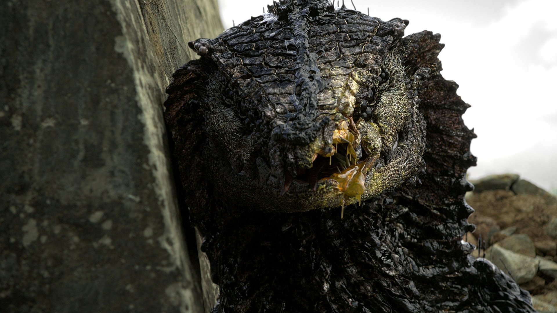 Rakka Background