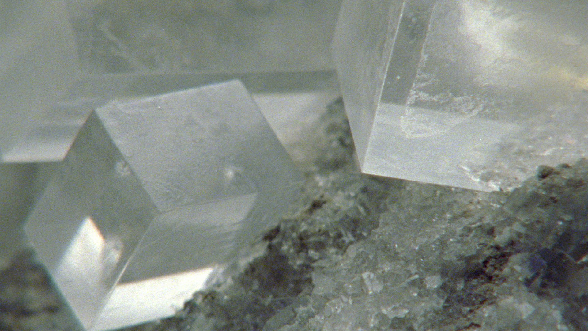 Last Things Background