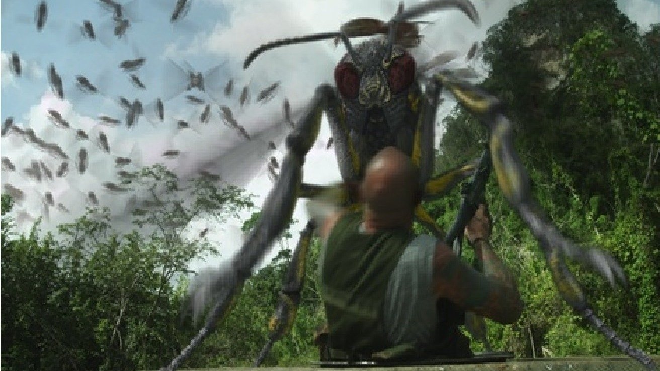 Dragon Wasps Background