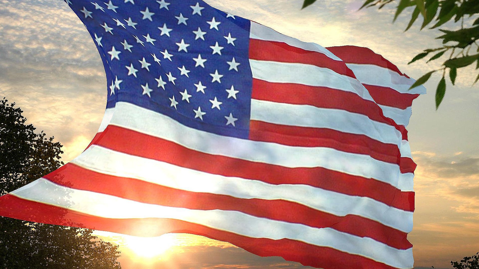 Les USA dans tous leurs États Background