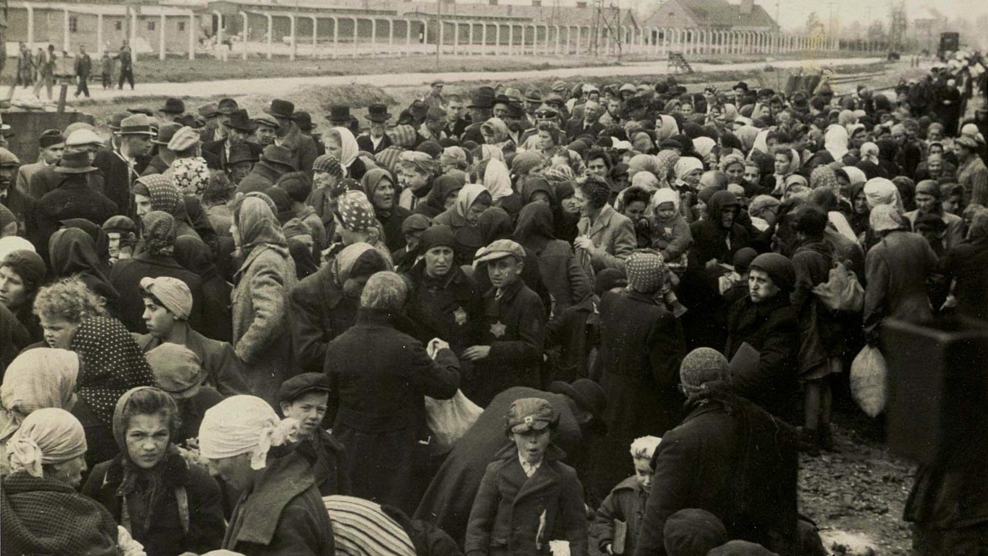 Auschwitz - One Day Background