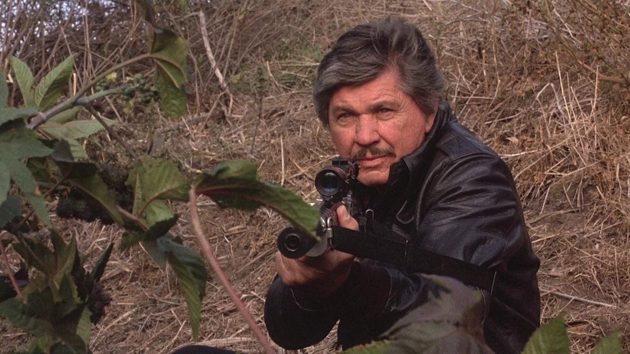 Death Wish 4: The Crackdown Background
