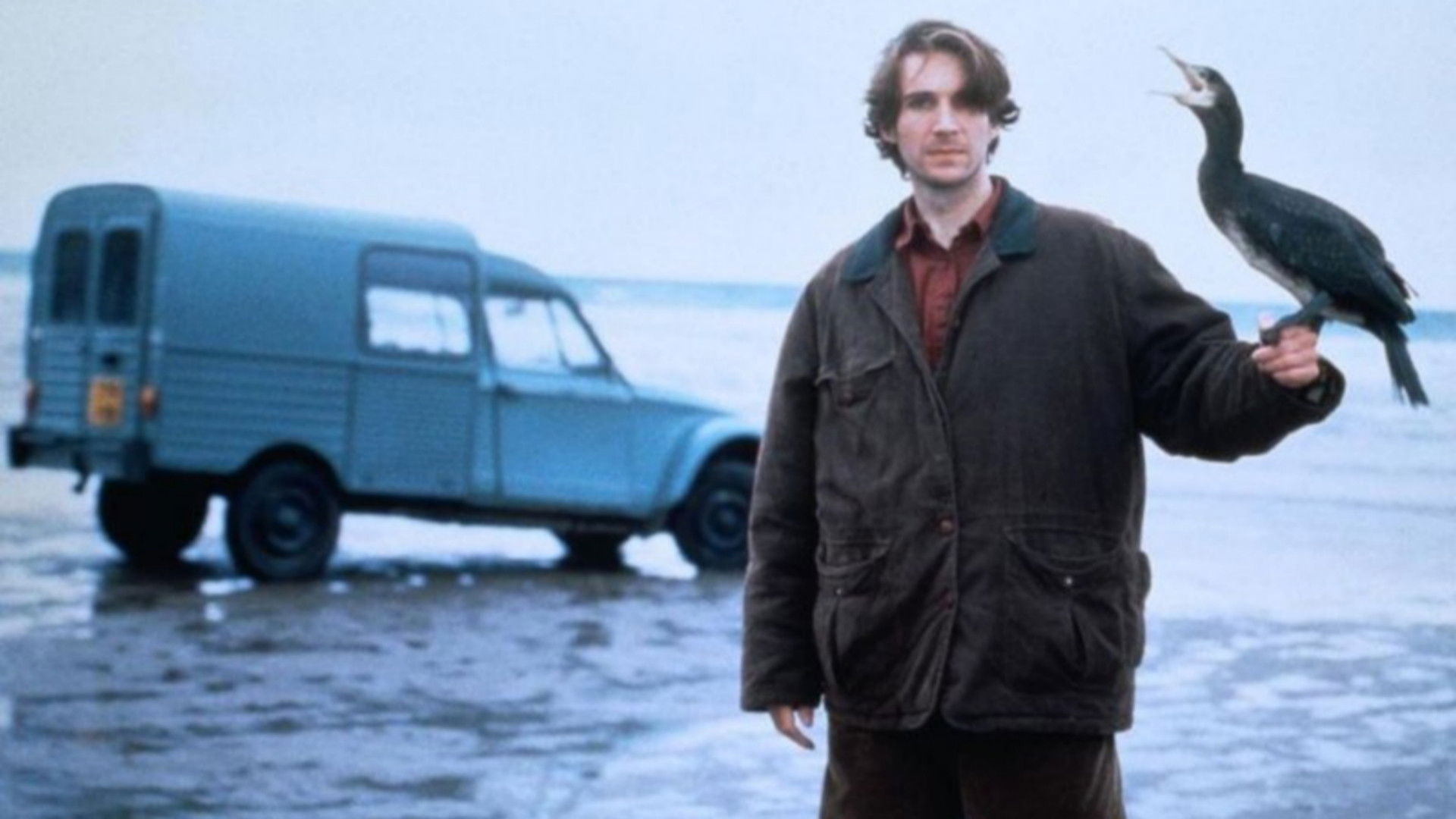 The Cormorant Background