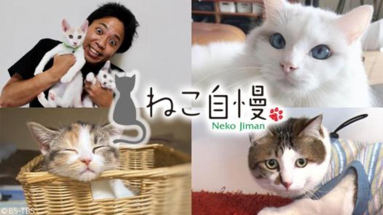 ねこ自慢 Background