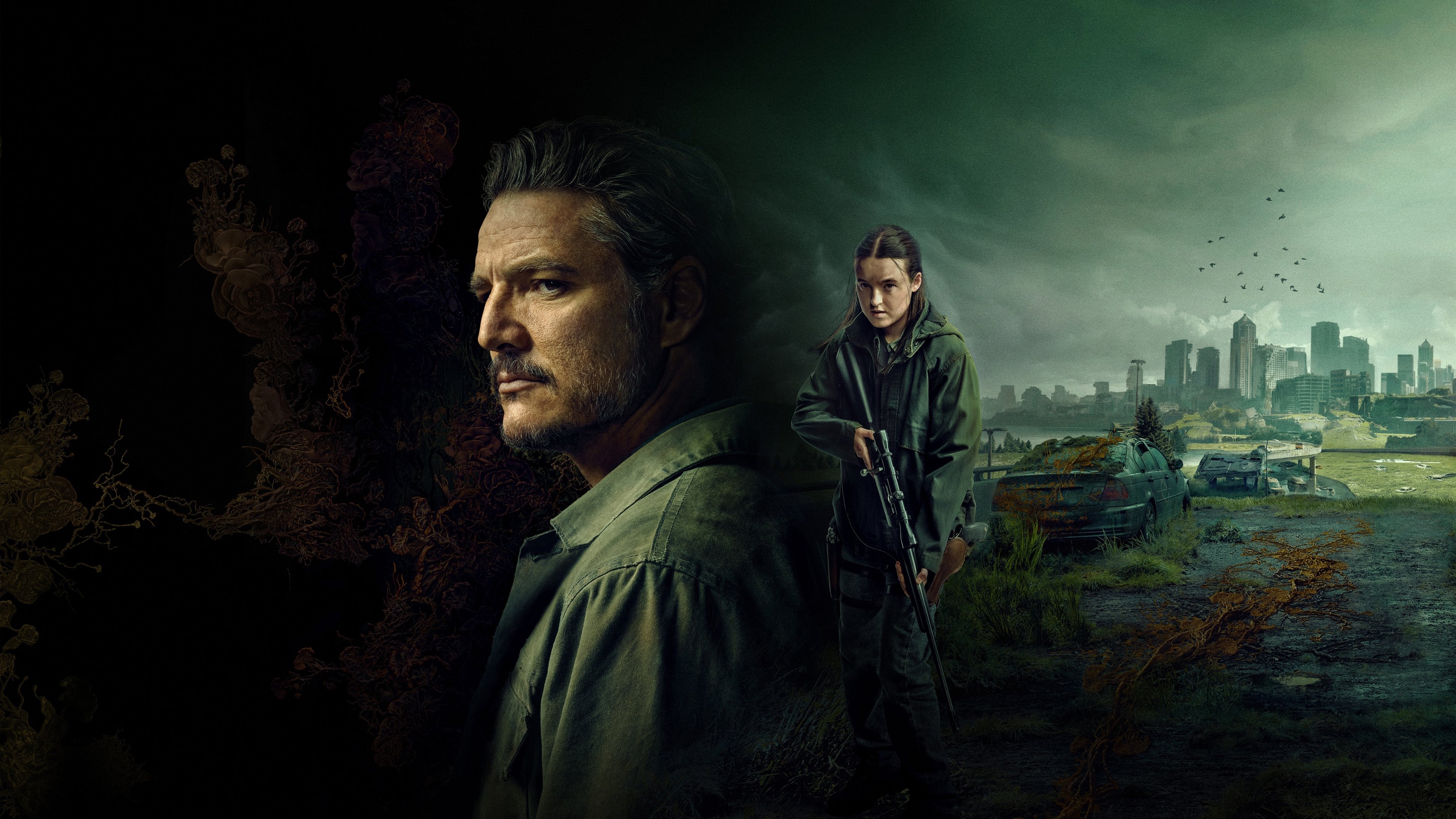 The Last of Us Background