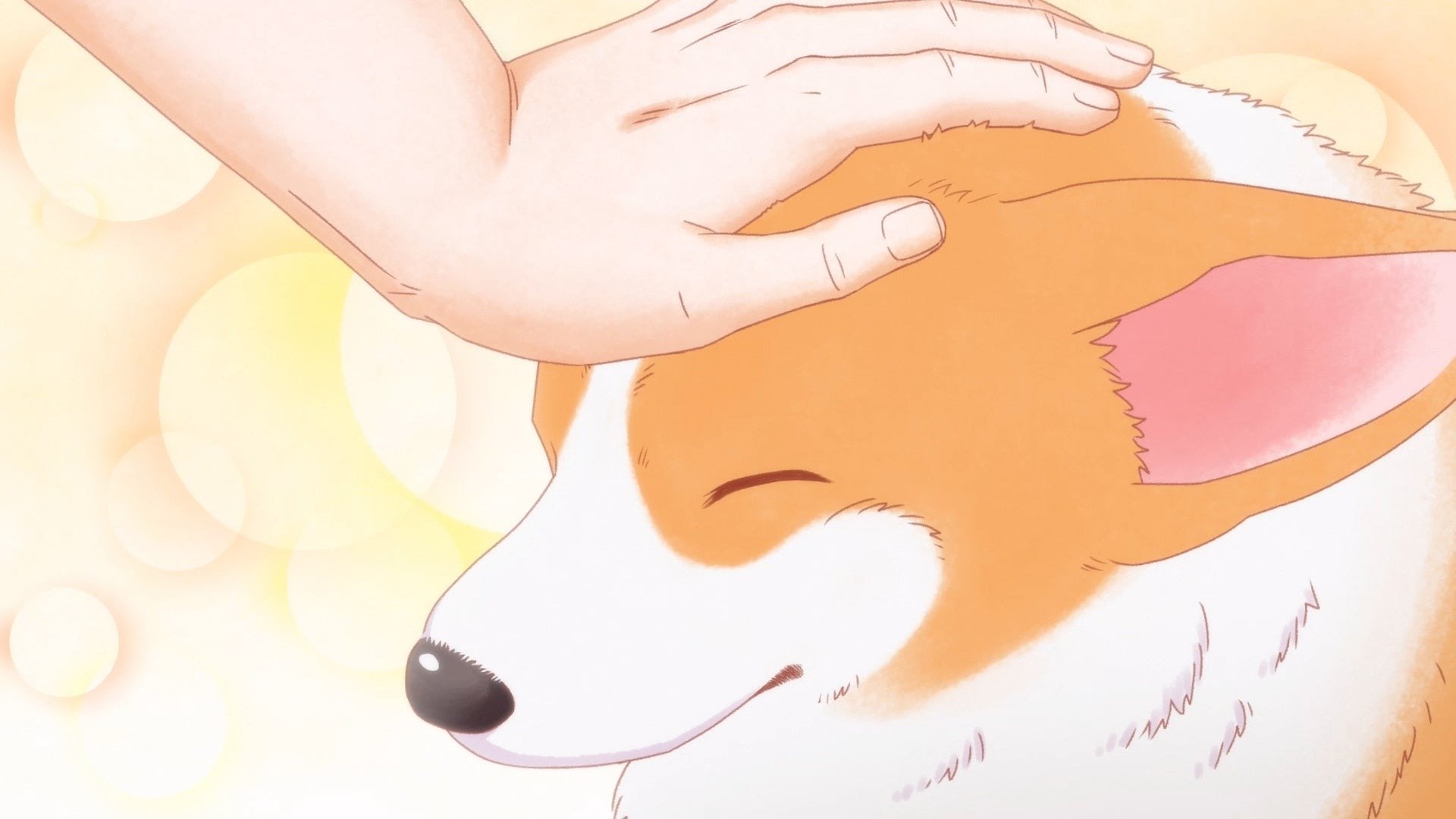 The Corgi and the Samurai Background