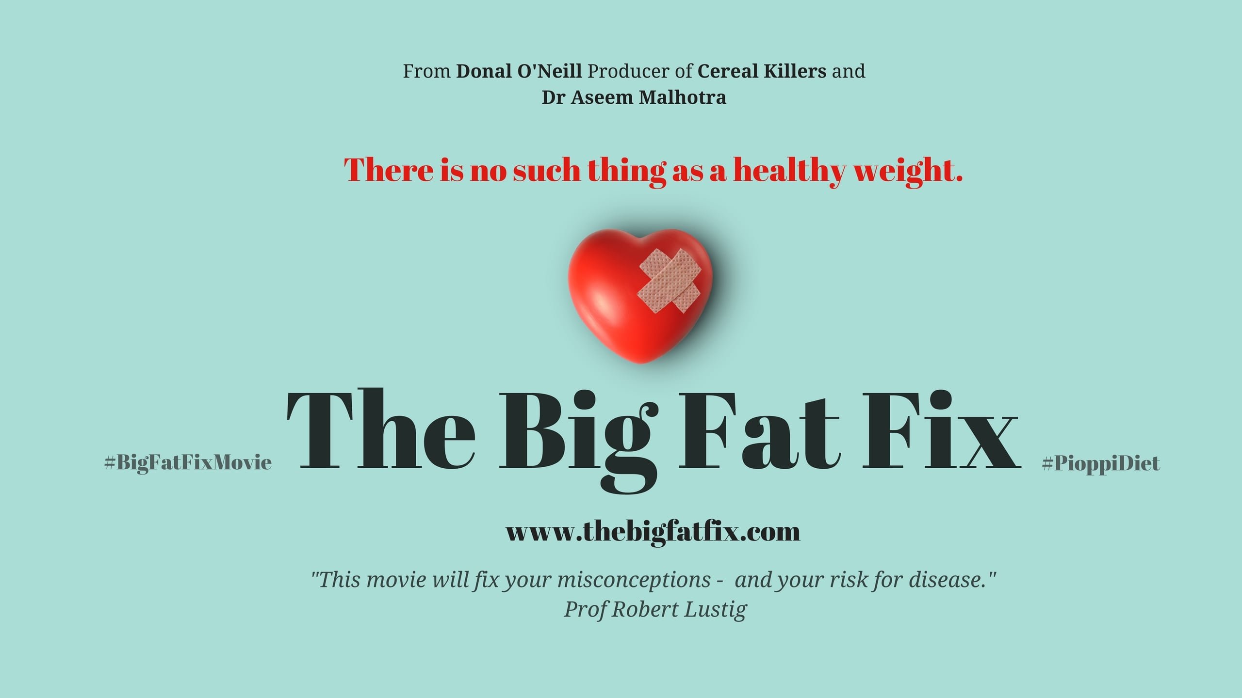 The Big Fat Fix Background