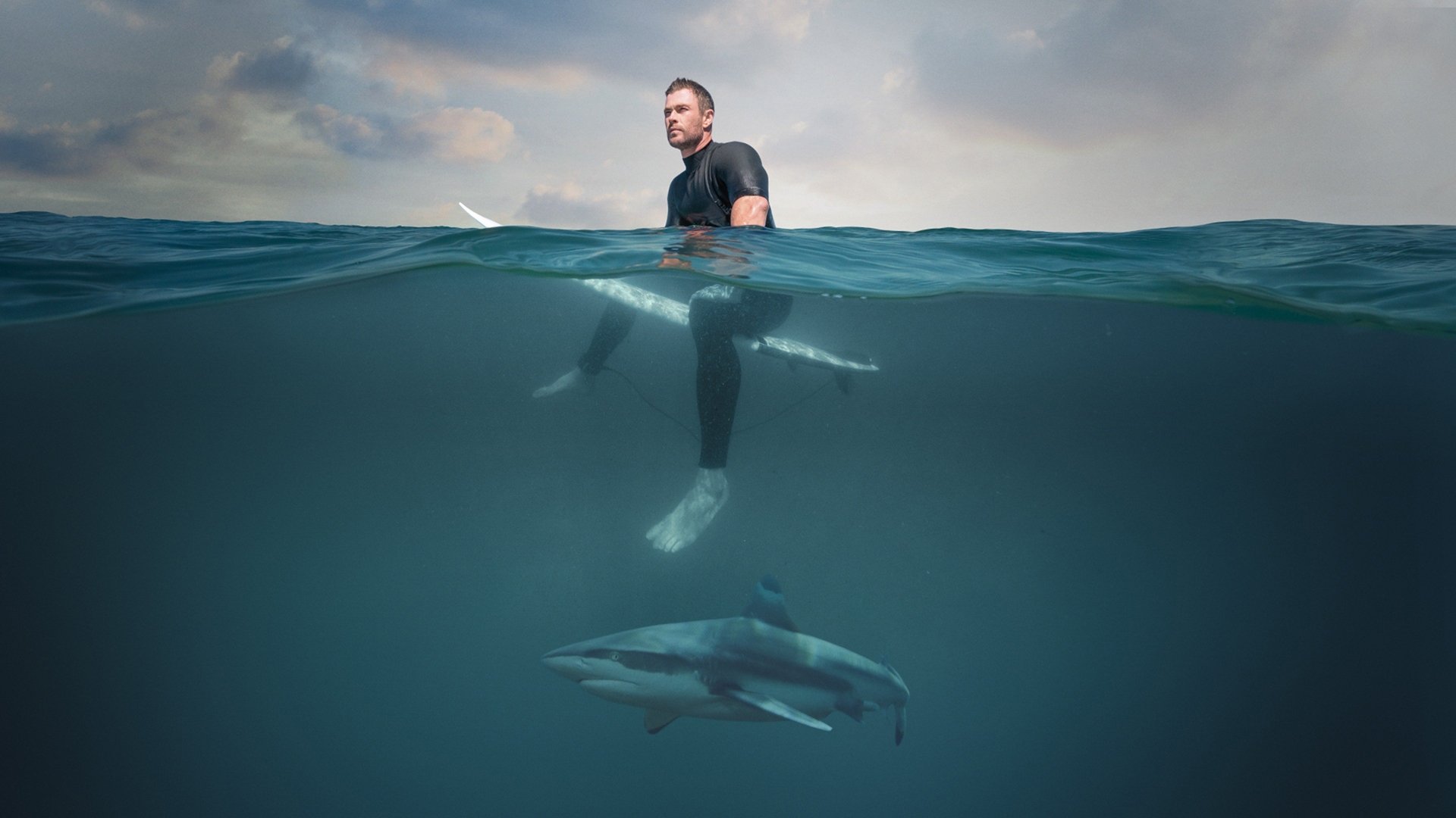 Shark Beach with Chris Hemsworth Background