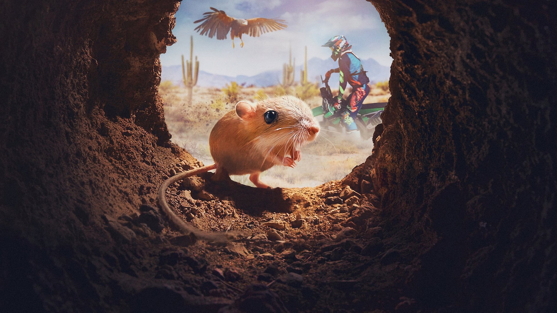 Tiny Creatures Background