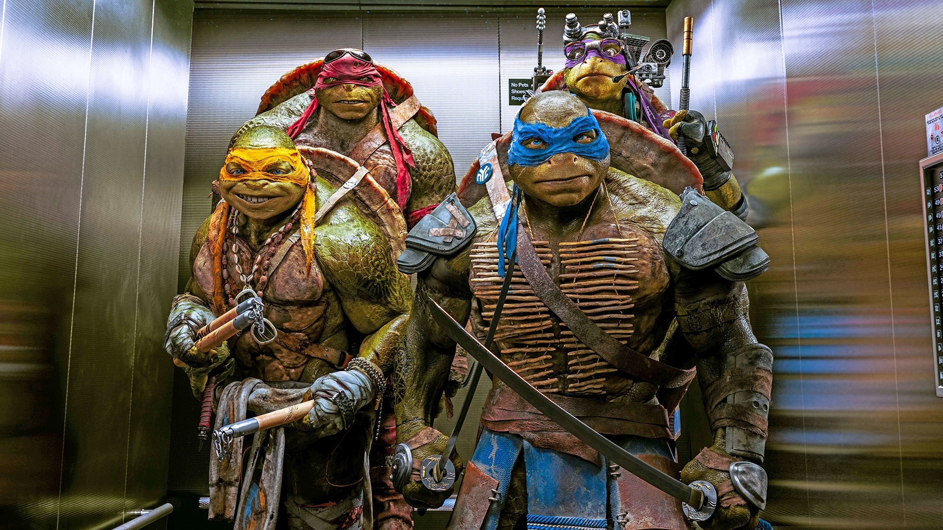 Teenage Mutant Ninja Turtles Background