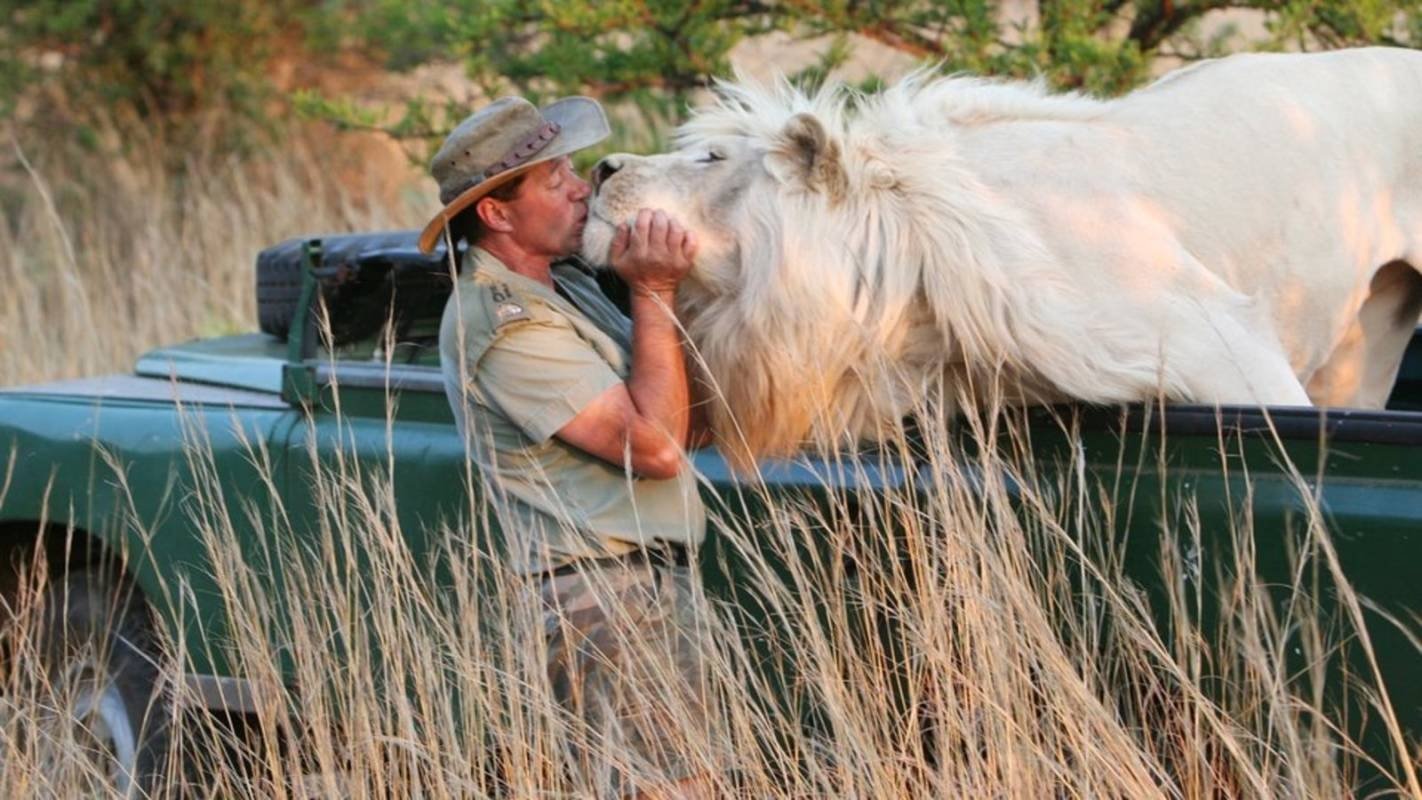 The Lion Man: African Safari Background