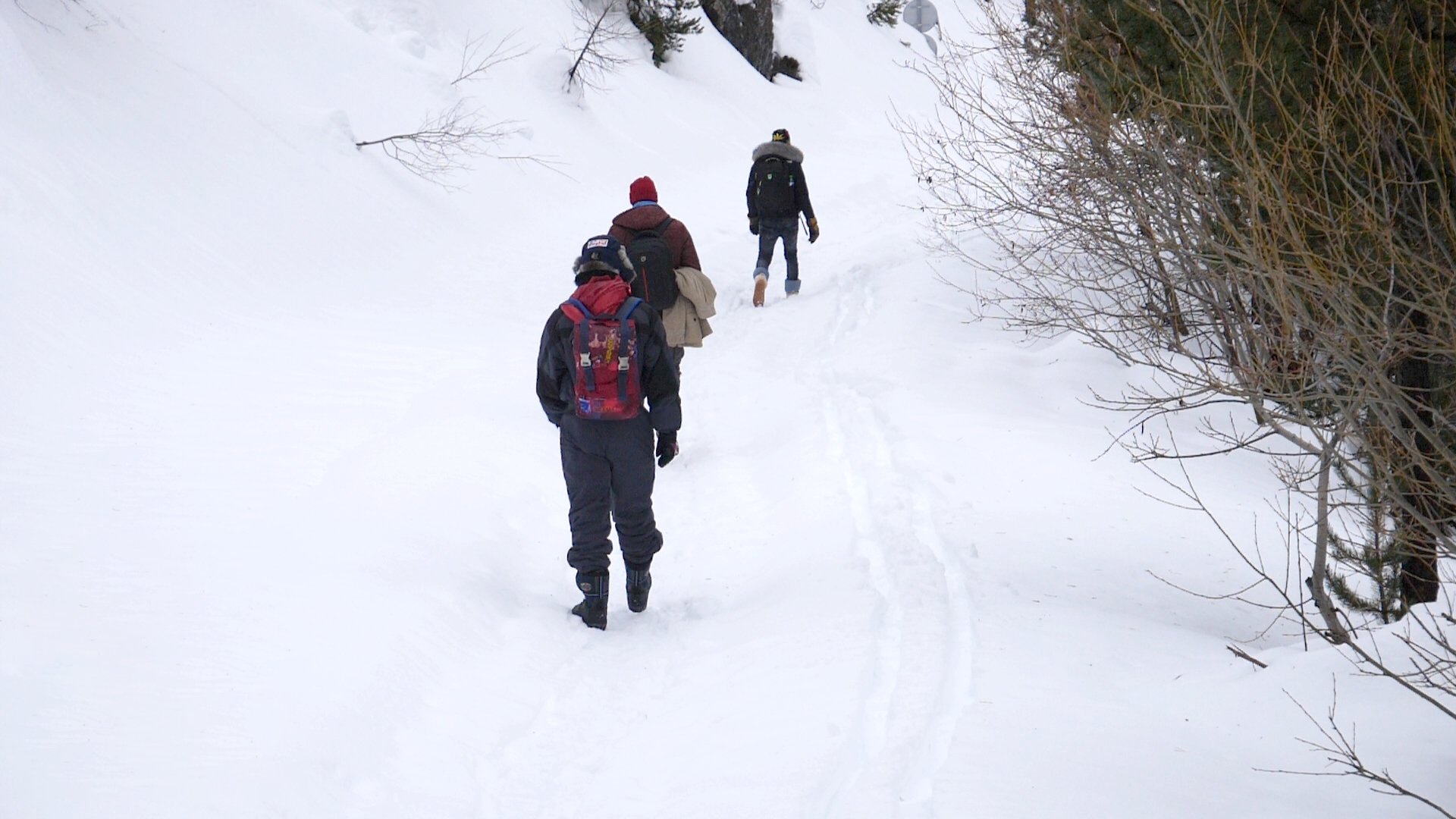 The Milky Way Background