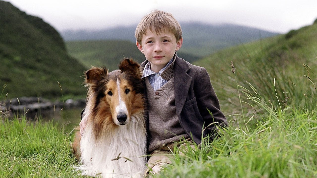 Lassie Background