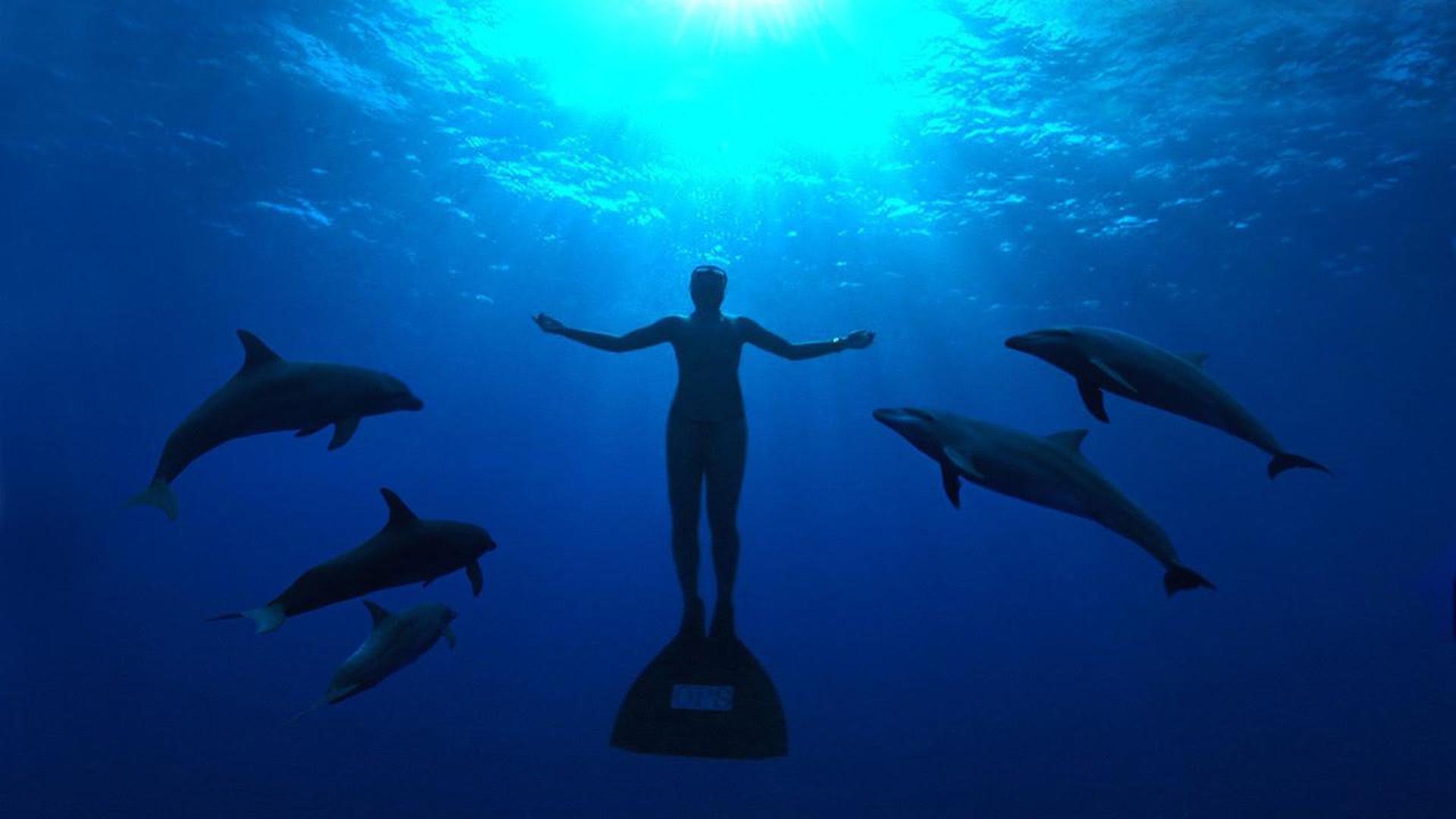 The Cove Background