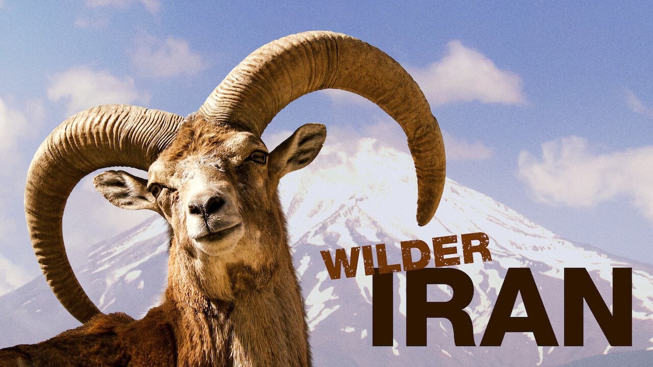 Wild Iran Background