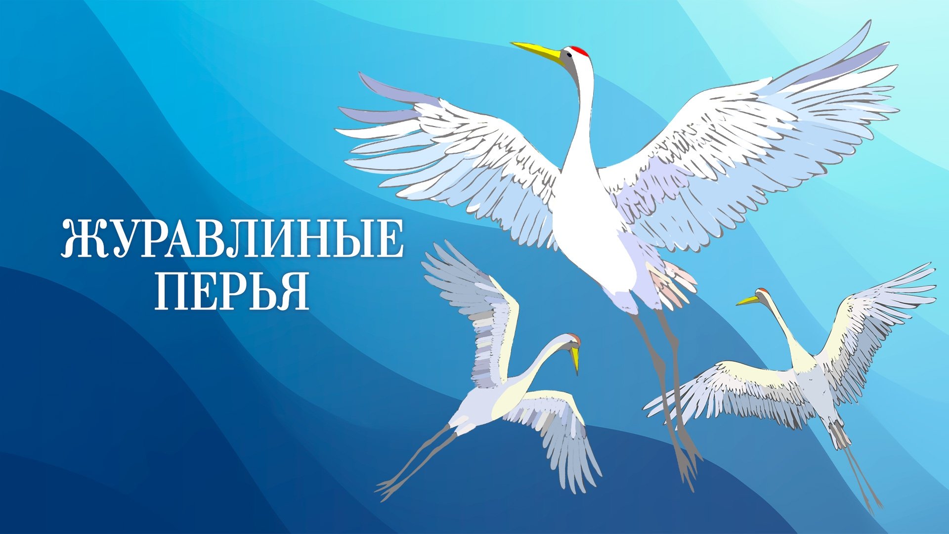 Crane’s Feathers Background