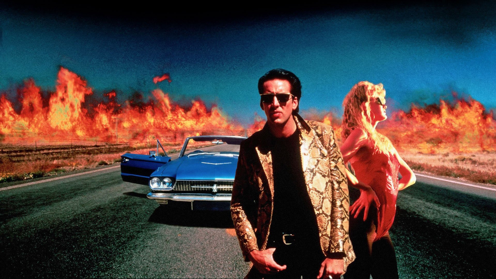 Wild at Heart Background