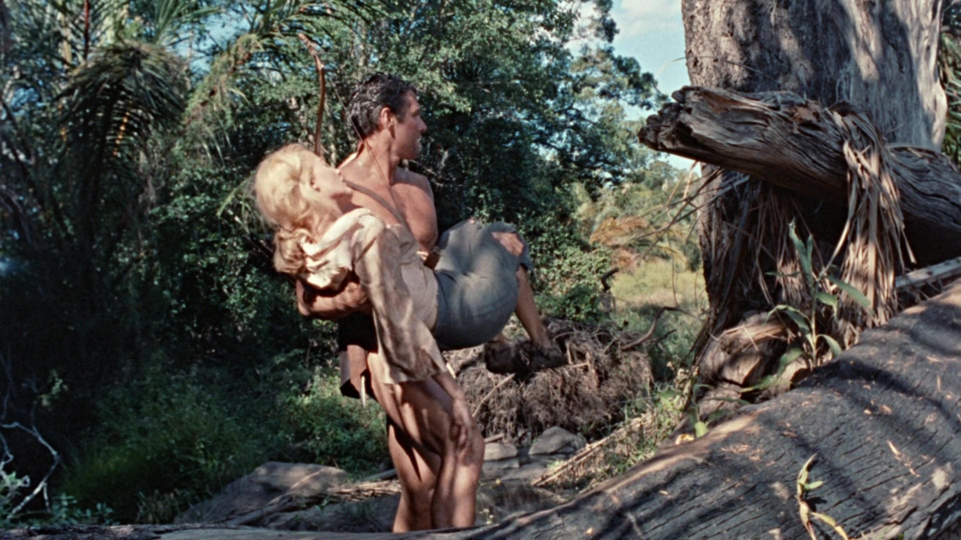 Tarzan's Greatest Adventure Background