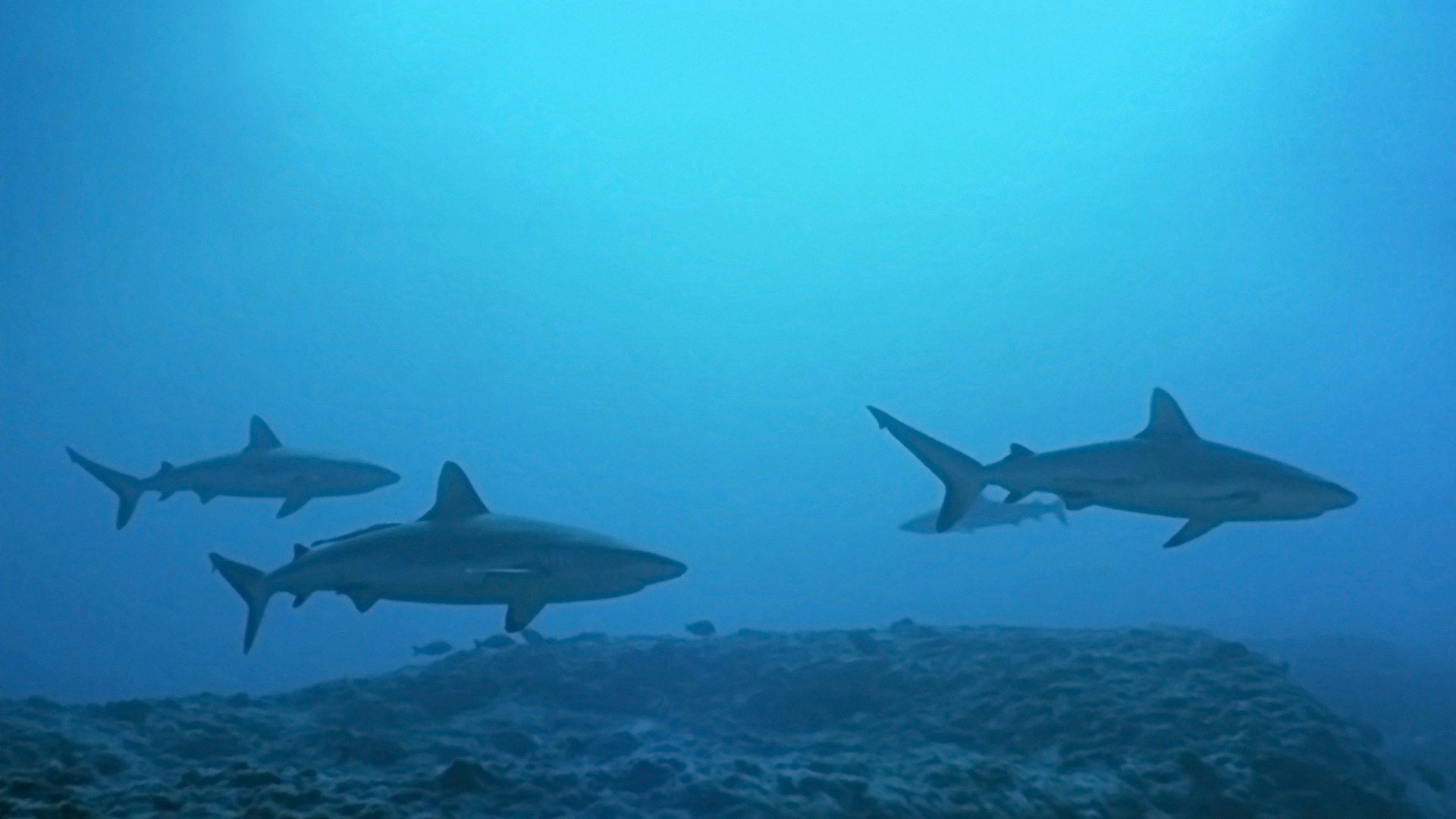 Atlantis Background