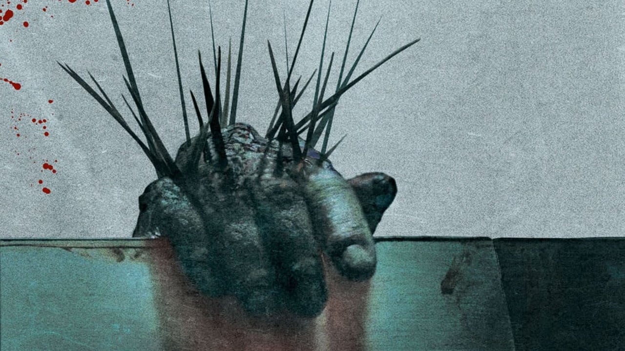 Splinter Background
