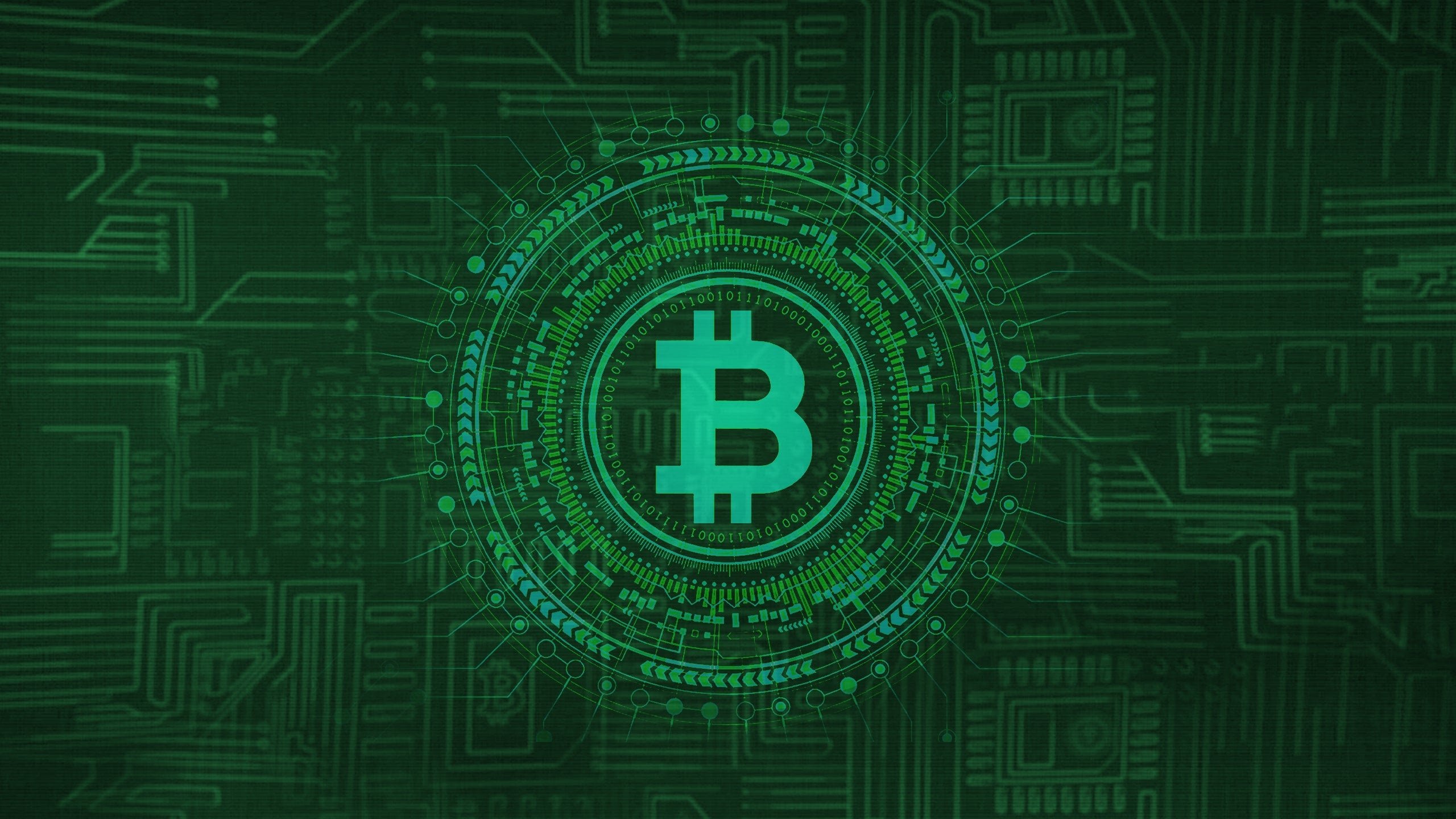 Cryptokoorts Background