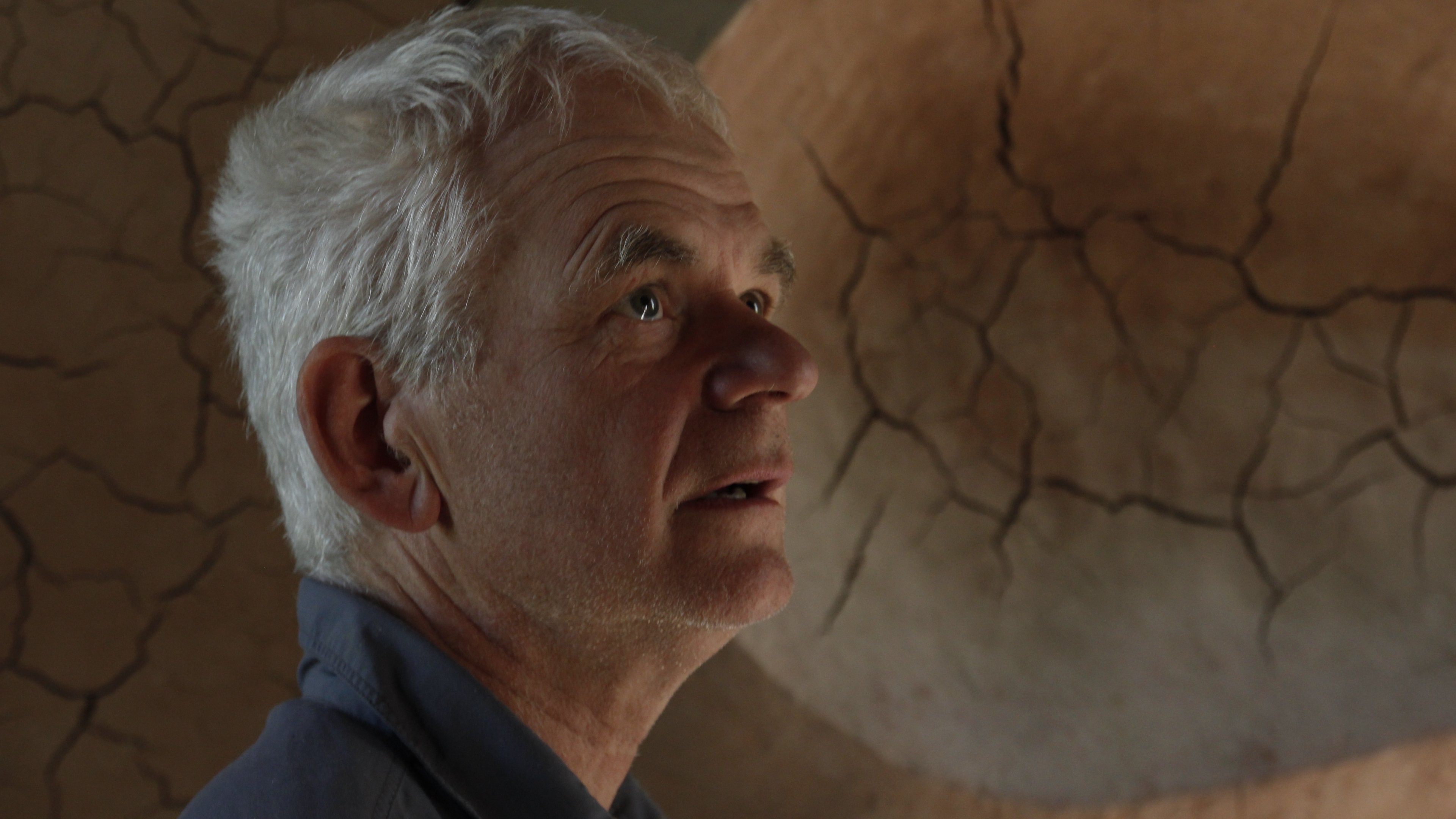 Leaning Into the Wind: Andy Goldsworthy Background