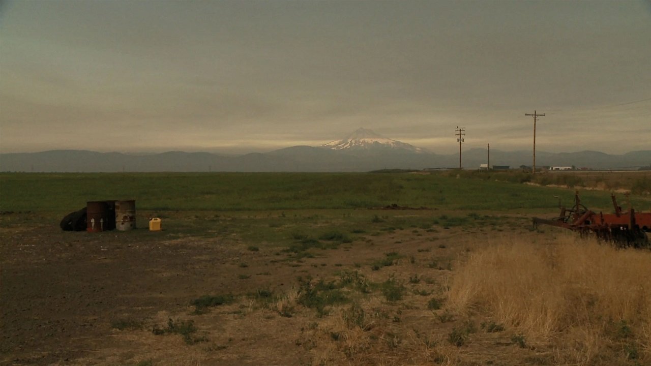 L. Cohen Background