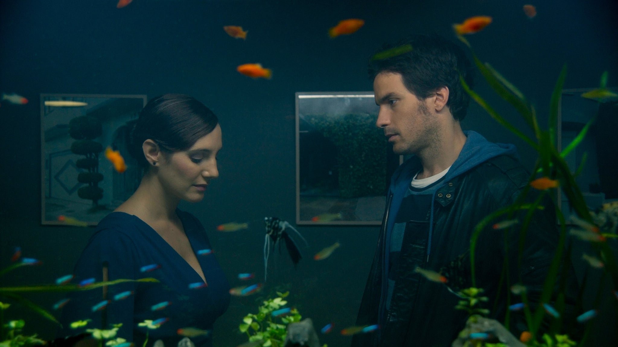 La vida de los peces Background