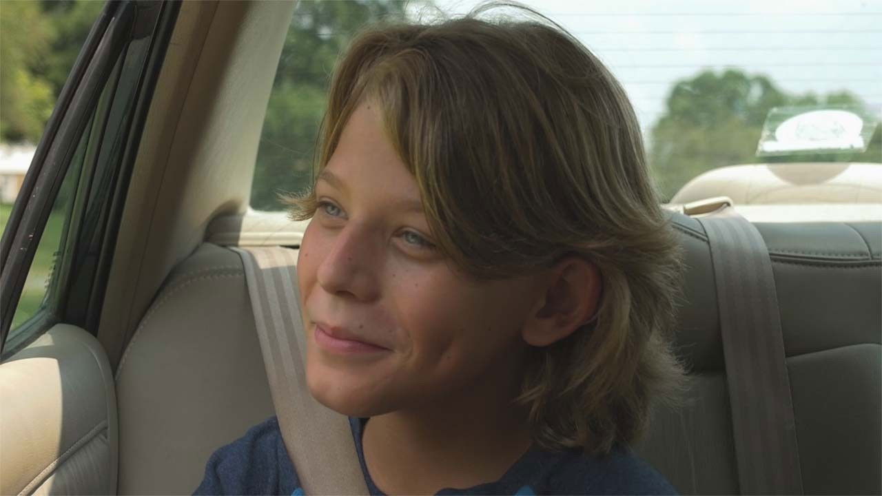 Summer Daydream Background