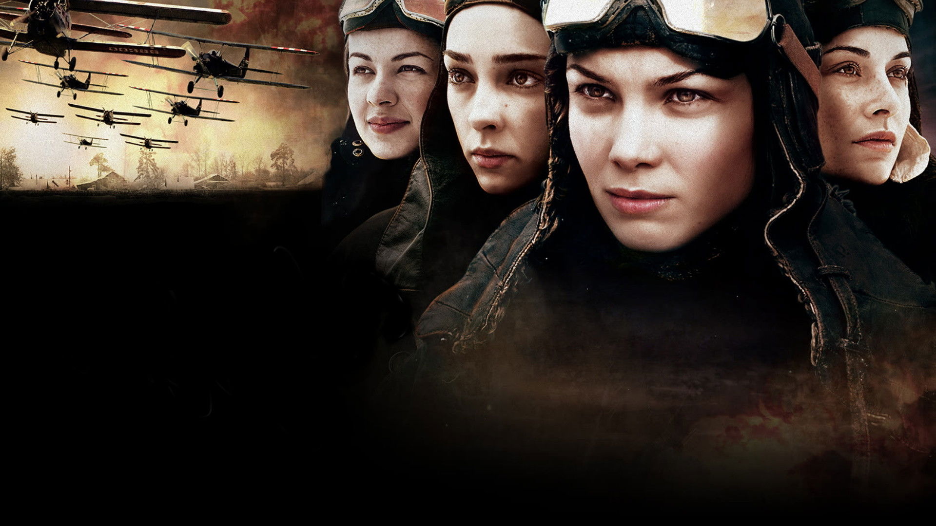 Night Swallows Background