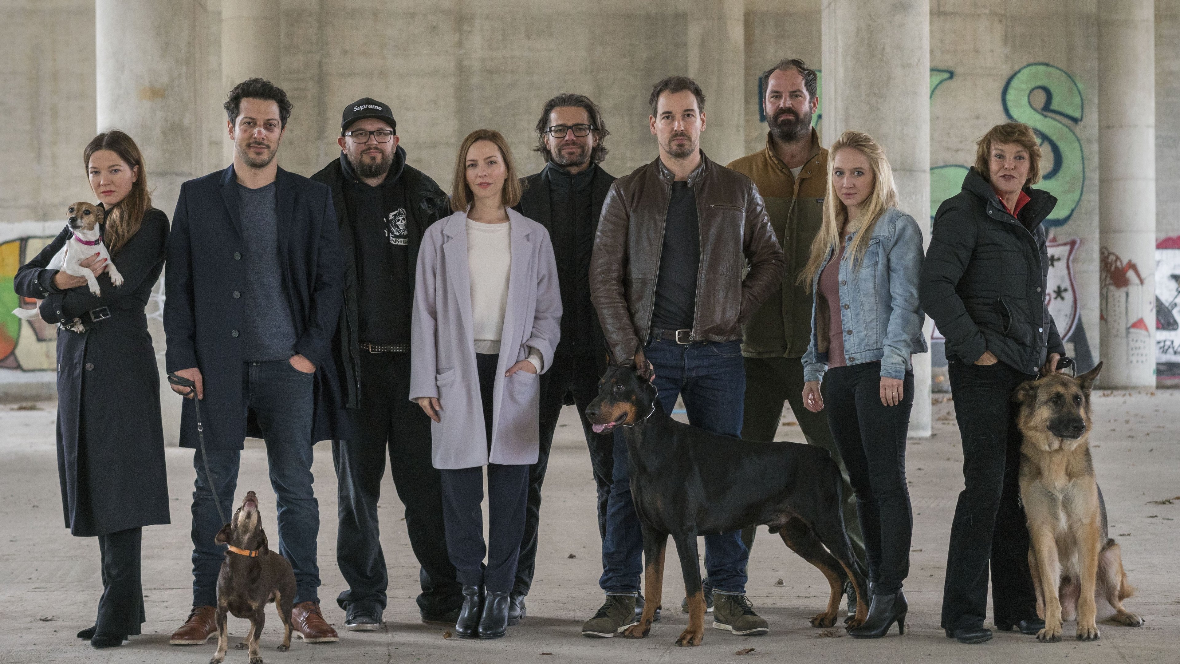 Dogs of Berlin Background