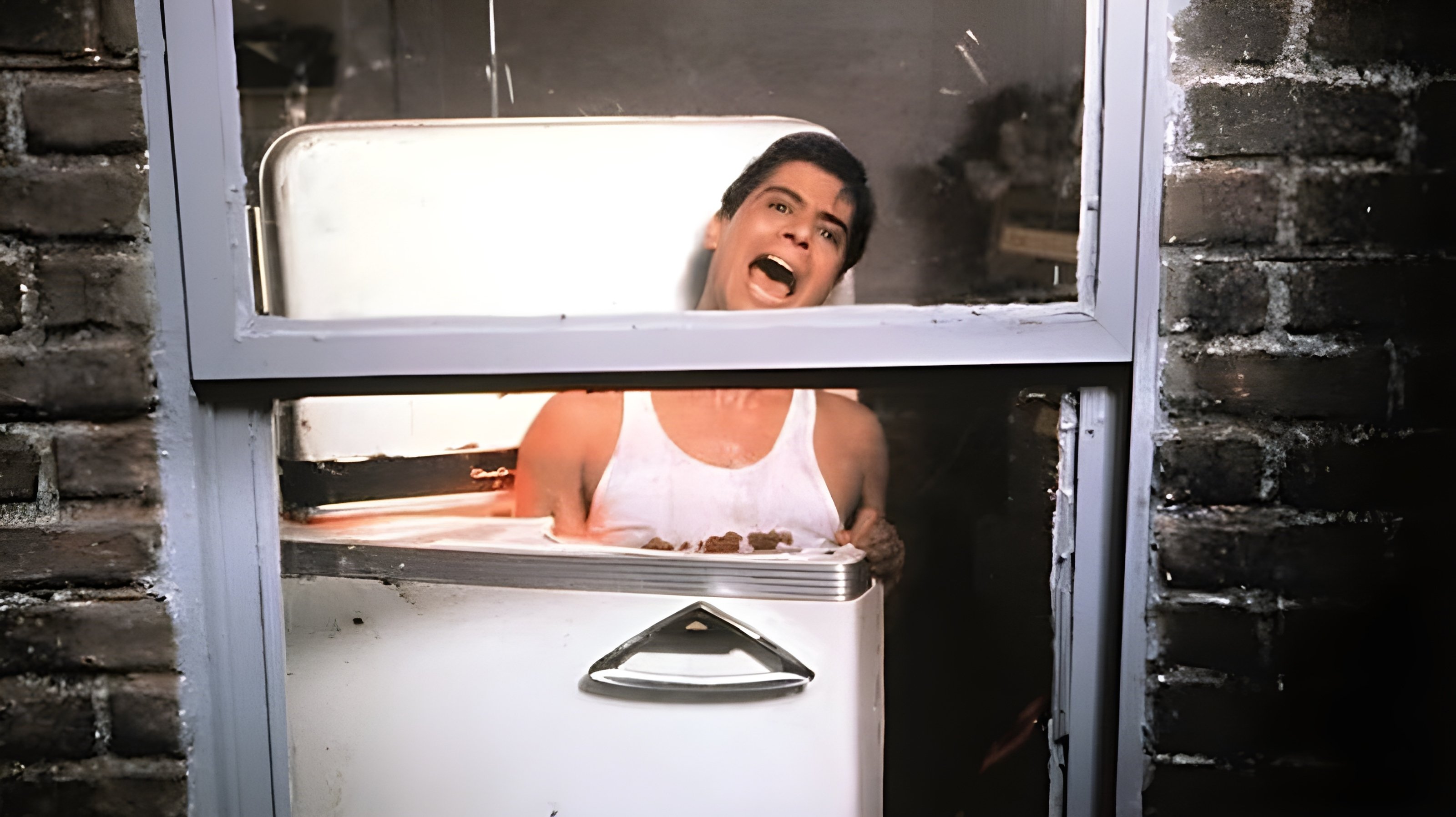 The Refrigerator Background