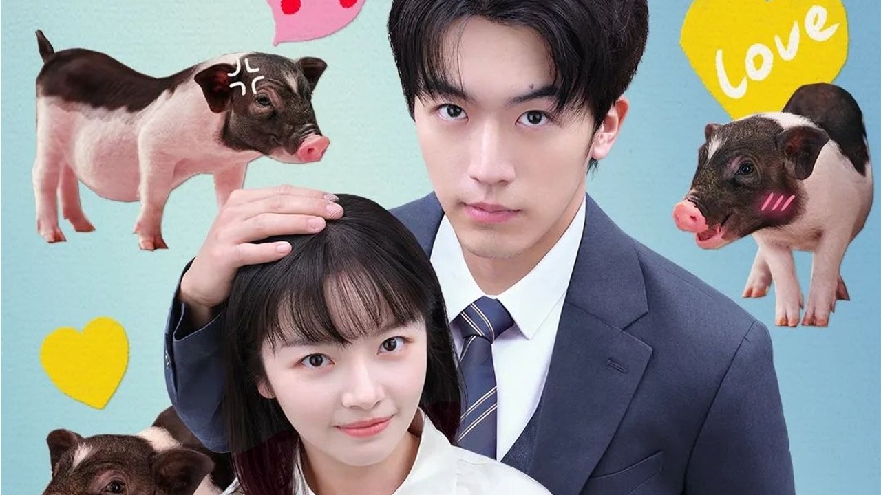 My Piggy Boss Background