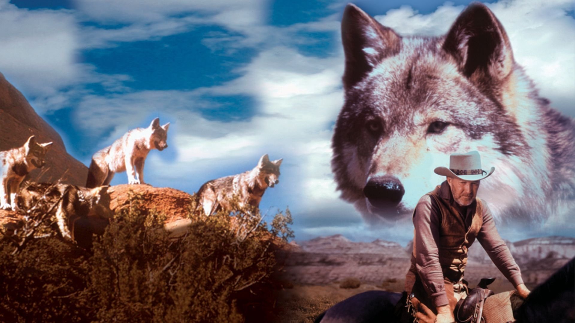 The Legend of Lobo Background
