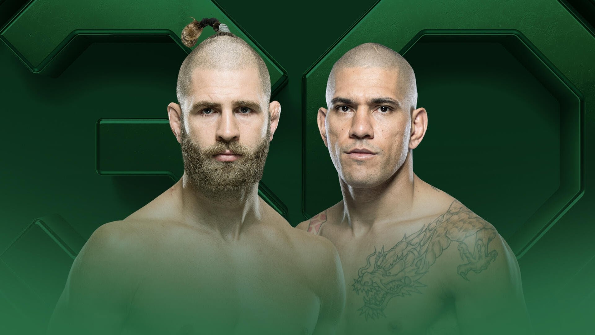 UFC 295: Prochazka vs. Pereira Background