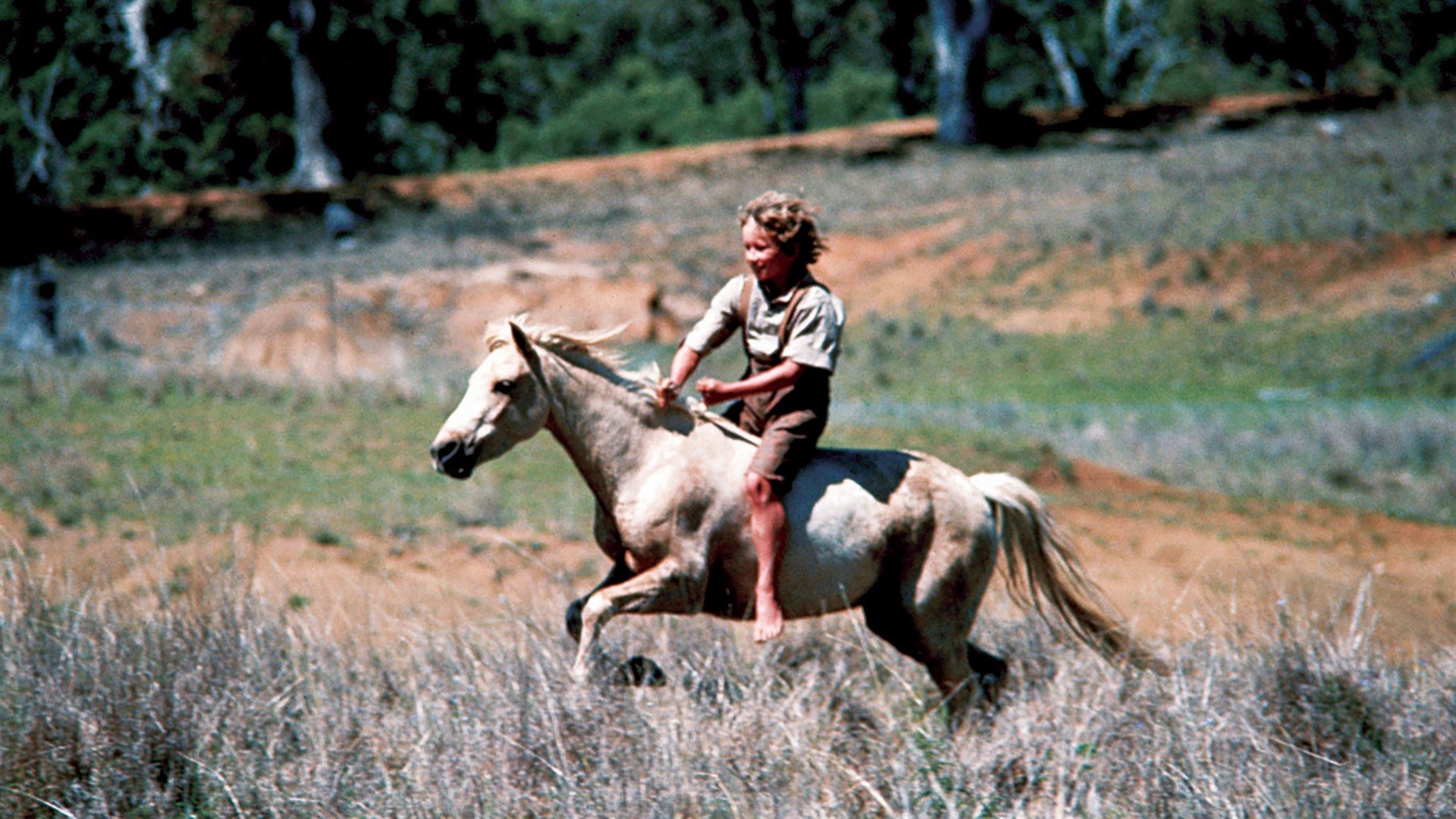 Ride a Wild Pony Background