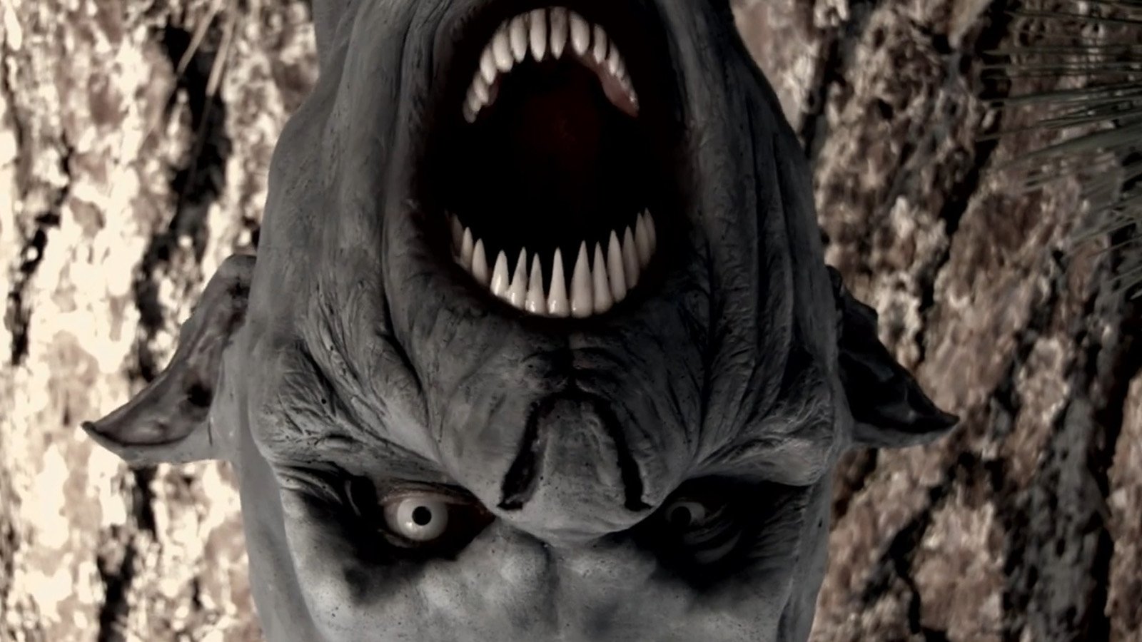 The Black Water Vampire Background