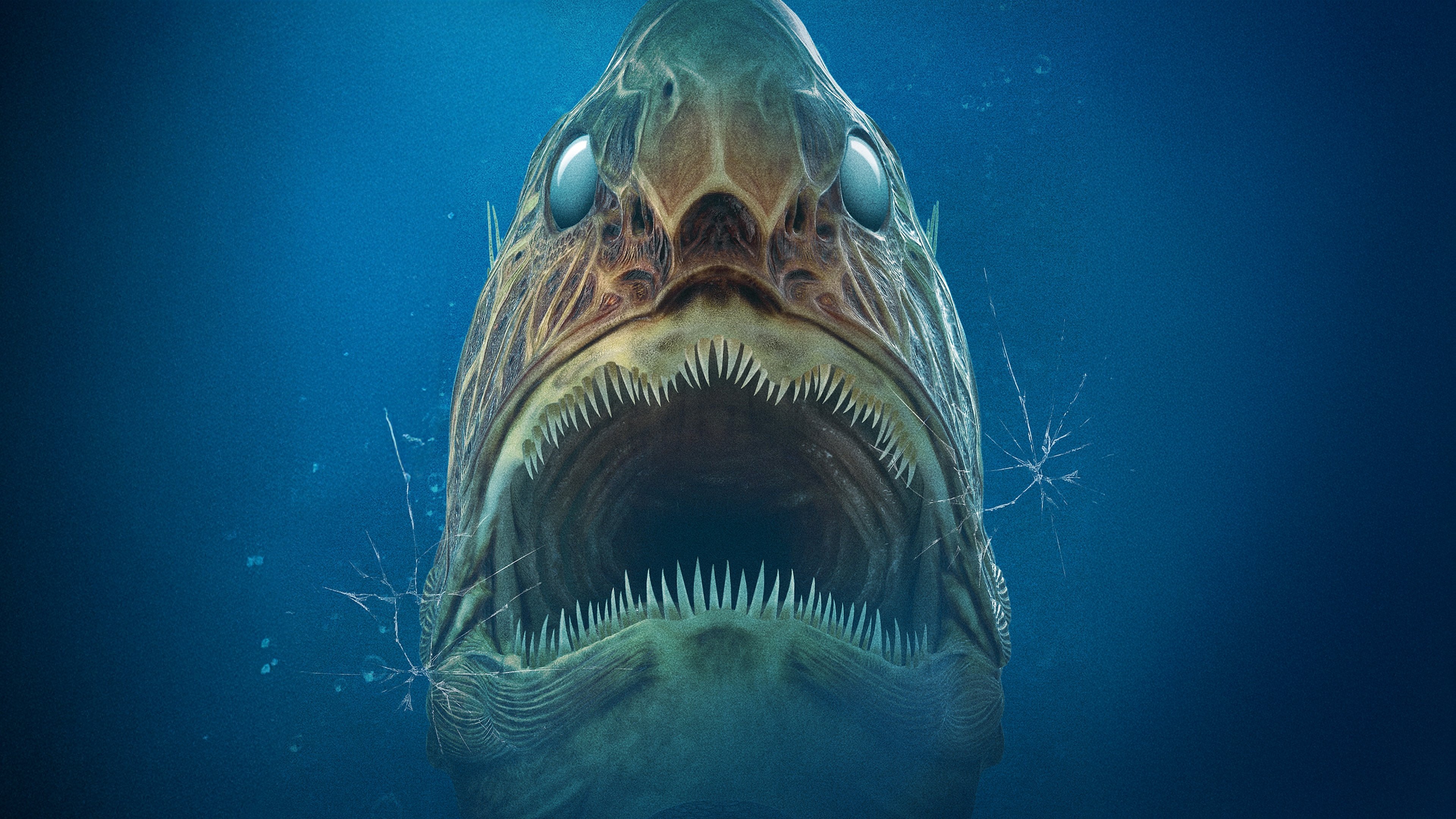 Aquarium of the Dead Background