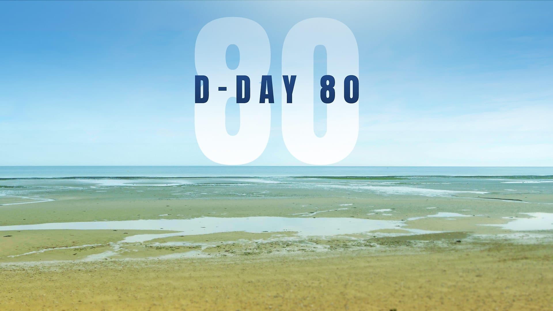 D-Day 80 Background