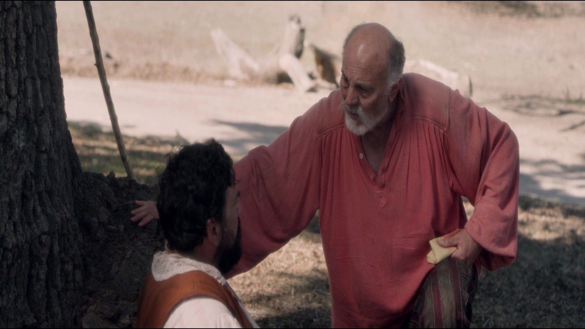 Don Quixote: The Ingenious Gentleman of La Mancha Background