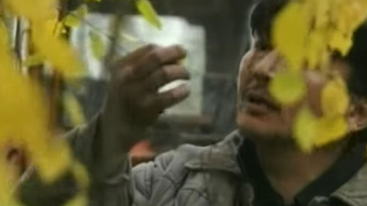 The Thread of Dreams Background