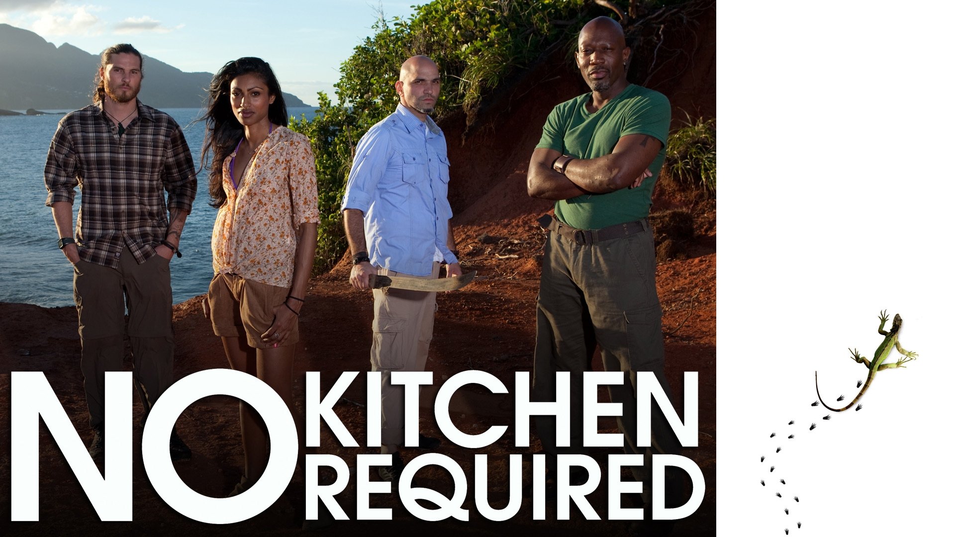 No Kitchen Required Background
