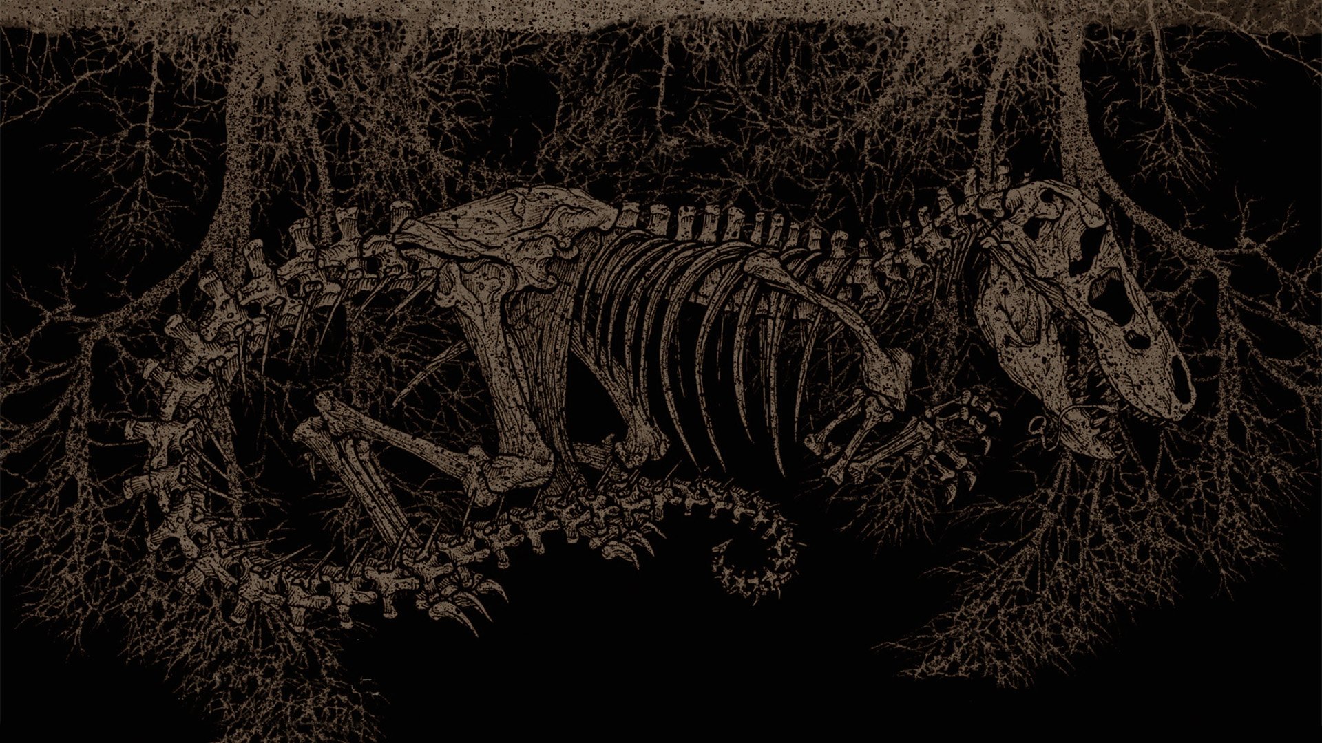 Tyrannosaur Background