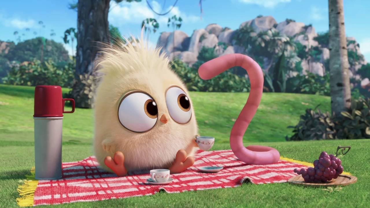 Angry Birds: The Early Hatchling Gets The Worm Background