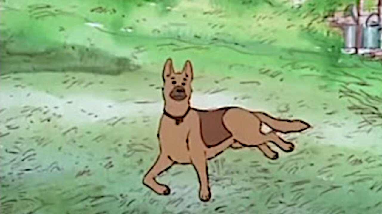 Gréti - A Dog's Notes Background