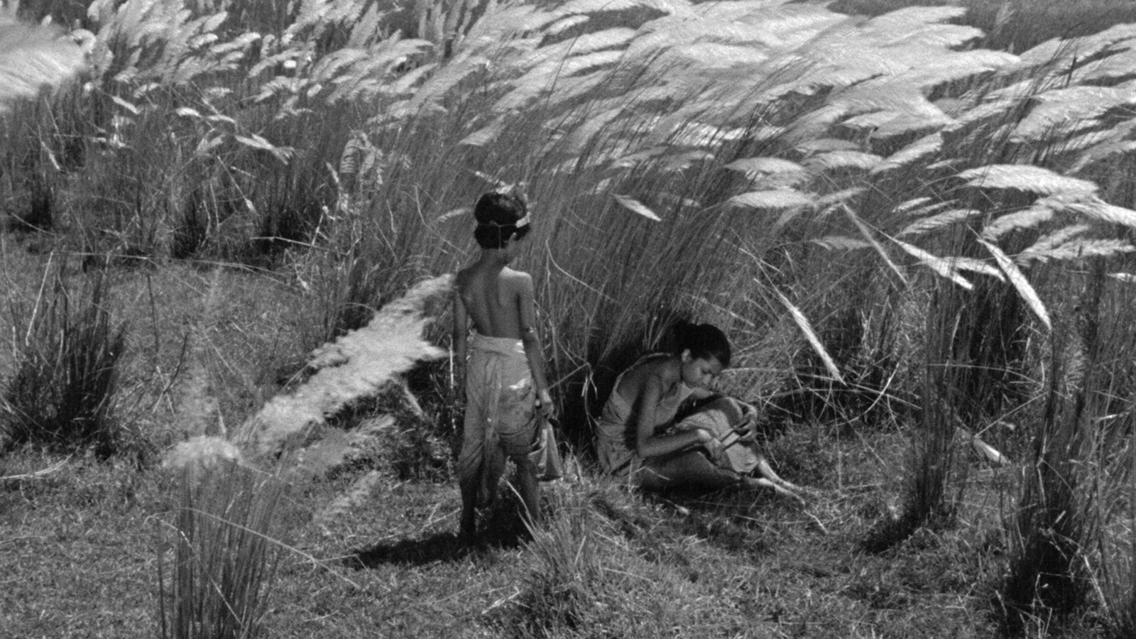 Pather Panchali Background