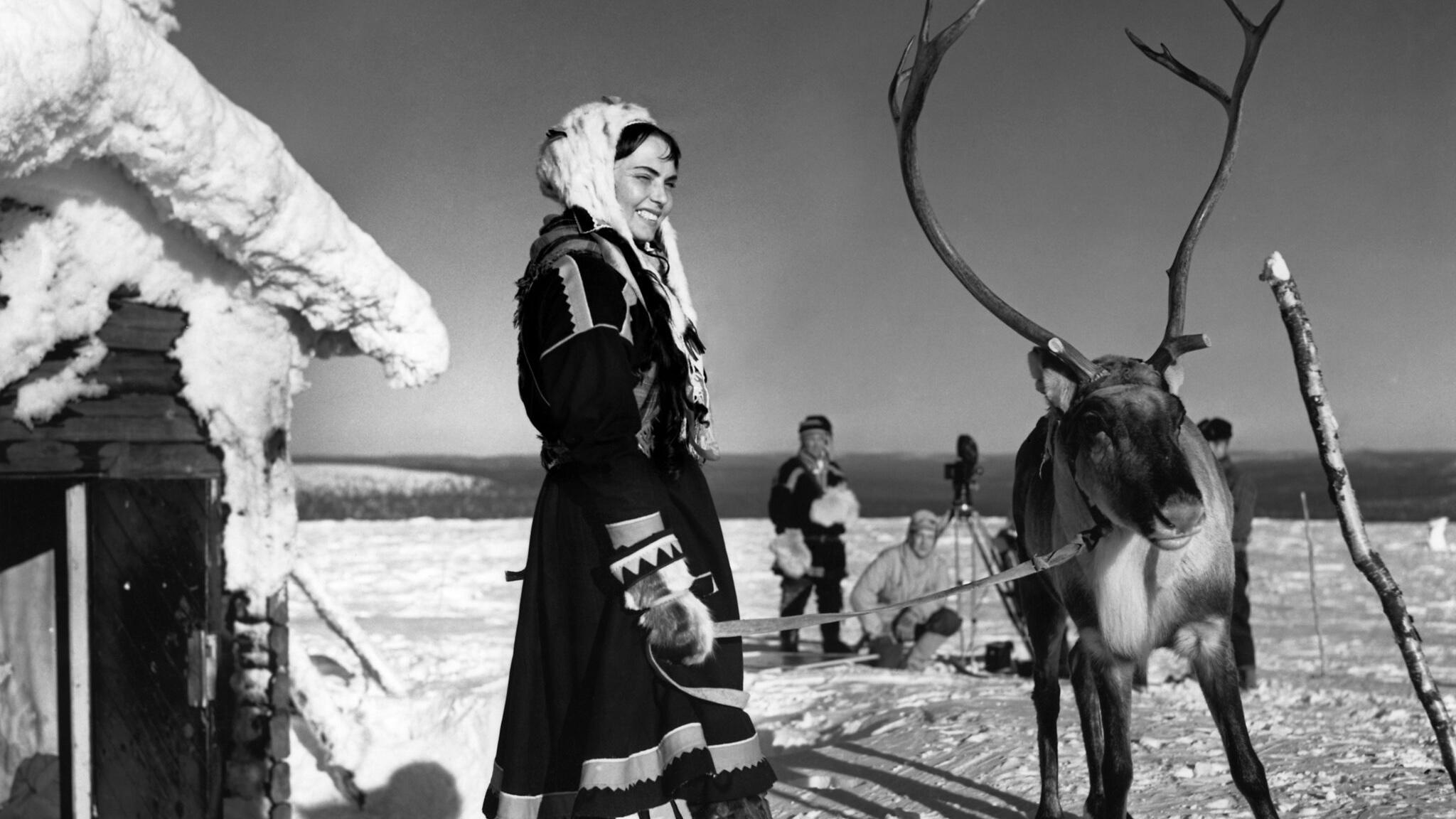 The White Reindeer Background